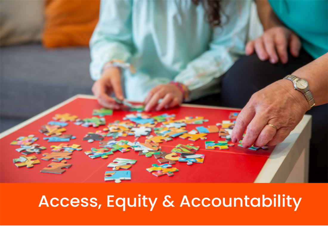 Access, Equity & Accountability